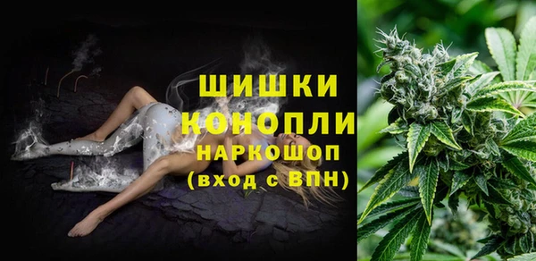 сатива Абаза