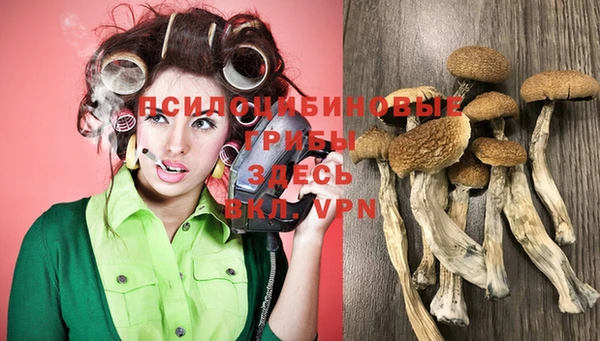экстази Няндома