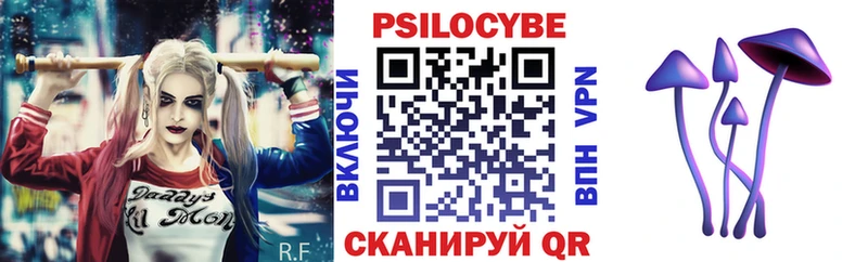 где купить наркоту Электроугли Псилоцибиновые грибы Psilocybe